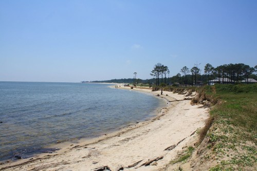 A sandy beach curves along a calm waterway, lined with trees and distant buildings under a clear blue sky.