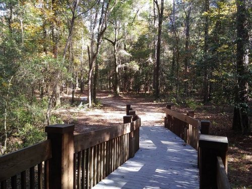 A wooden bridge leads into a serene forest with trees and dappled sunlight filtering through the leaves.