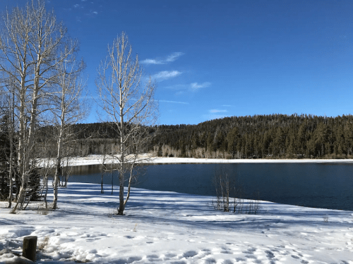 A serene winter landscape featuring a lake surrounded by snow-covered ground and bare trees under a clear blue sky.