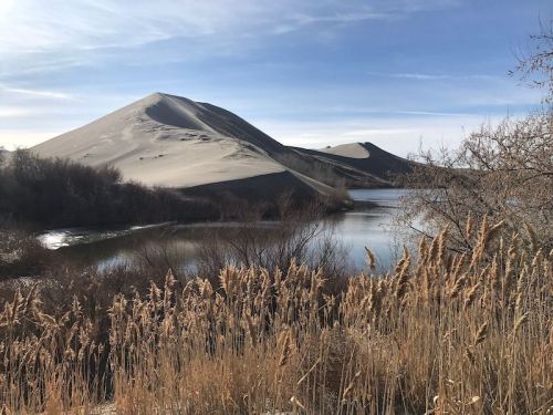 A serene landscape featuring sand dunes beside a calm lake, framed by tall grasses and a clear blue sky.