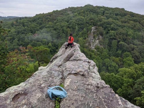 A person in a red shirt sits on a rocky outcrop, overlooking a lush green forested landscape.