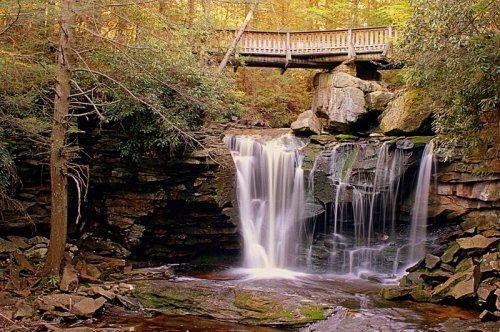 A serene waterfall cascades over rocks beneath a wooden bridge, surrounded by lush greenery and autumn foliage.