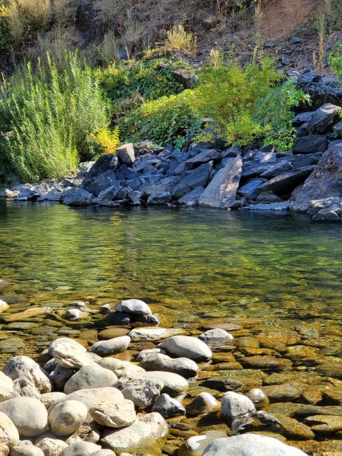 A serene riverbank with clear water, smooth stones, and lush greenery along the shore.