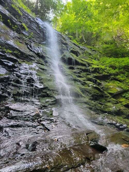 A serene waterfall cascading down a rocky cliff, surrounded by lush green foliage and moss.