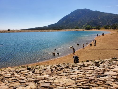 A serene lake with people and dogs playing along the shore, surrounded by mountains and clear blue skies.