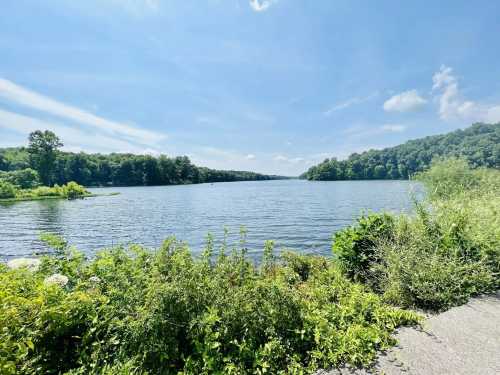 A serene lake surrounded by lush greenery under a clear blue sky with a few clouds.