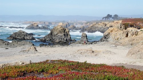 Coastal landscape featuring rocky formations, waves, and colorful vegetation under a clear blue sky.