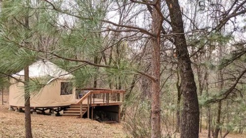 A cozy yurt on a wooden deck surrounded by tall trees in a forested area.