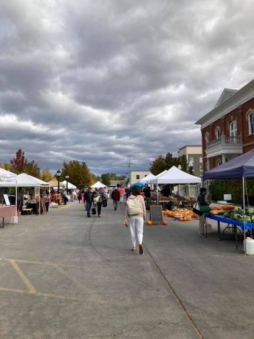 A bustling outdoor market with vendors under cloudy skies, featuring tents and shoppers walking along the pathway.