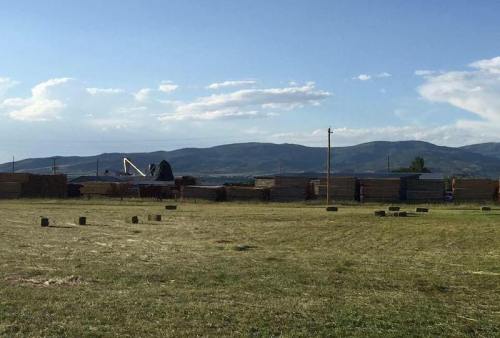 A grassy field with stacks of hay bales and distant mountains under a clear blue sky.