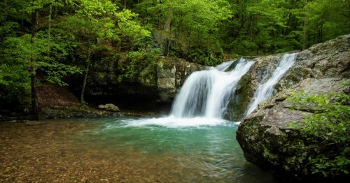 A serene waterfall cascades over rocks into a clear pool, surrounded by lush green trees and foliage.