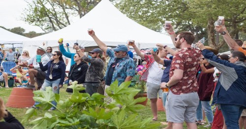 A group of people at an outdoor event raising drinks in a toast, with tents and a crowd in the background.