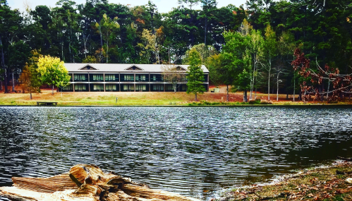A serene lake view with a wooden log in the foreground and a modern building surrounded by trees in the background.