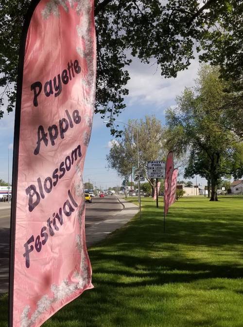 Banners for the Payette Apple Blossom Festival line a grassy area along a road under a clear blue sky.