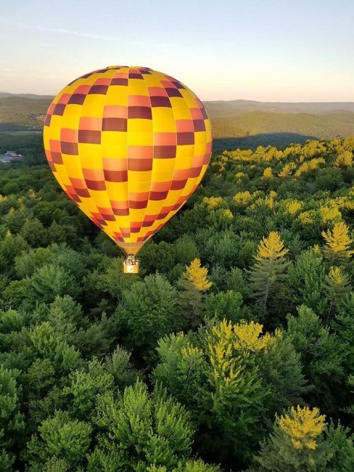 A colorful hot air balloon floats above a lush green forest with rolling hills in the background under a clear sky.