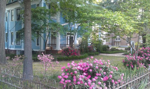 A charming blue house surrounded by lush greenery and vibrant pink flowers in a peaceful garden setting.
