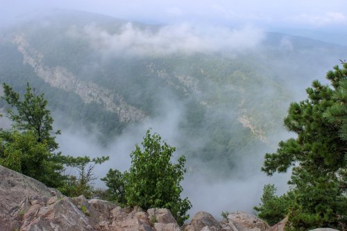 A misty mountain landscape with rocky cliffs and lush greenery, shrouded in clouds.