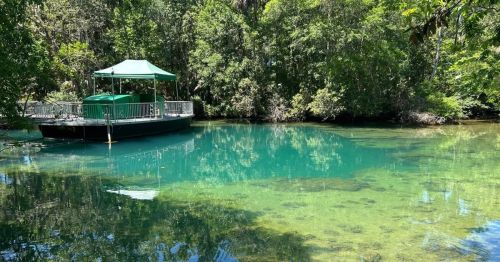 Boardwalk through Homosassa Springs wildlife area Florida