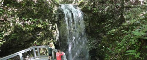 Two people stand near a waterfall surrounded by lush greenery and rocks, with a wooden railing in the foreground.
