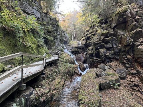 A narrow pathway alongside a stream flows through a rocky, moss-covered gorge surrounded by trees in autumn.