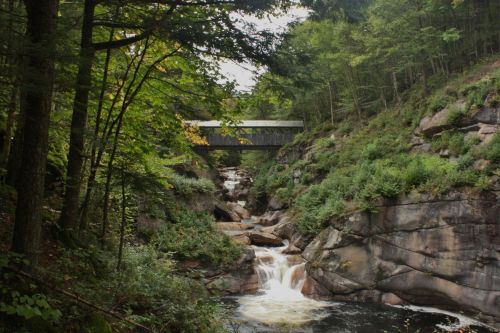 A serene landscape featuring a waterfall cascading over rocks, surrounded by lush greenery and a bridge above.