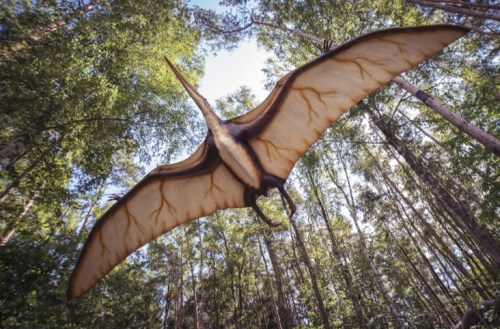 A large pterosaur glides above a dense forest, with sunlight filtering through the trees.