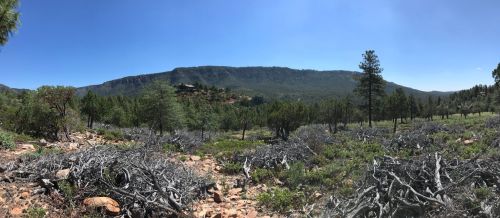 A panoramic view of a mountainous landscape with sparse vegetation and rocky terrain under a clear blue sky.