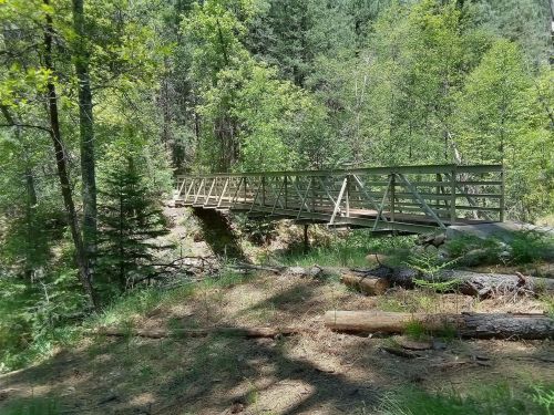 A wooden bridge spans a small ravine, surrounded by lush green trees and fallen logs in a forested area.