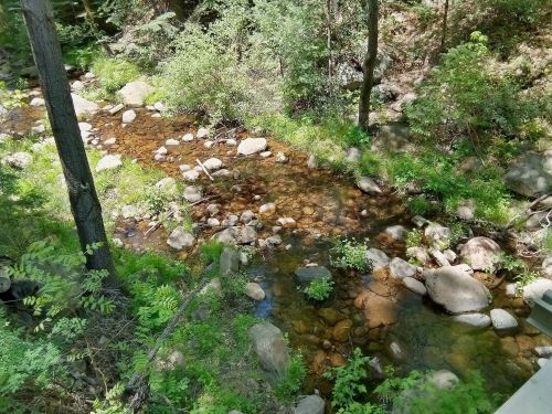 A serene stream flows through a lush, green forest, with rocks visible beneath the clear water.