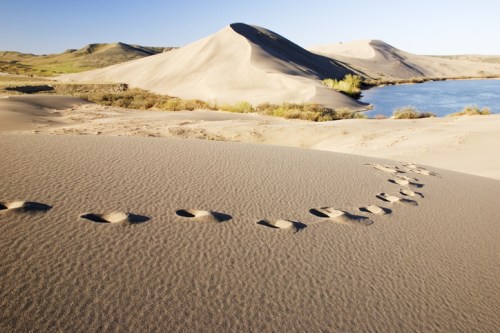 Footprints in the sand lead to a serene lake, surrounded by rolling dunes and sparse vegetation under a clear blue sky.