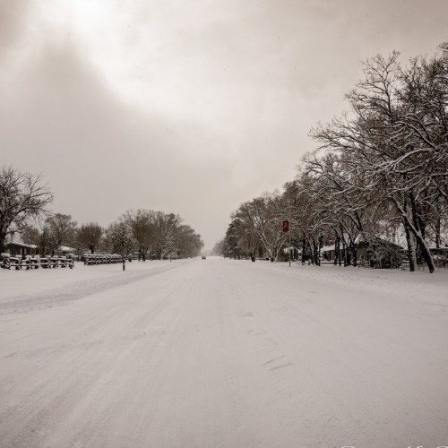 A snow-covered road lined with trees, creating a serene winter landscape under a cloudy sky.