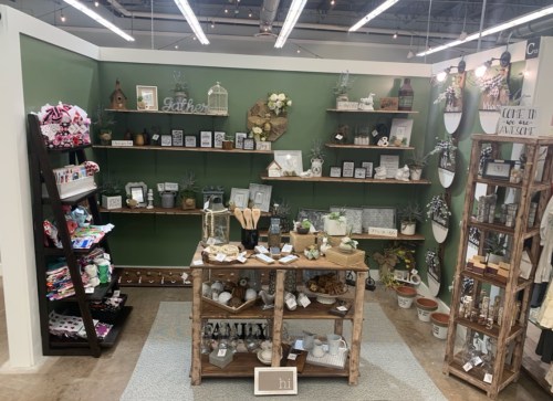 A cozy shop display featuring shelves of home decor, plants, and various decorative items on wooden tables.