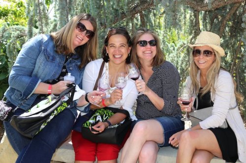 Four women smiling and holding wine glasses, sitting together under a tree, enjoying a sunny day.