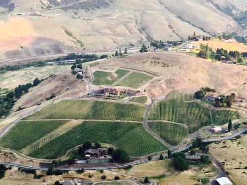 Aerial view of rolling hills with vineyards and scattered houses in a rural landscape.