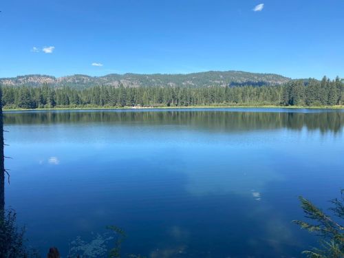 A serene lake surrounded by lush green trees and mountains under a clear blue sky. Reflections shimmer on the water.