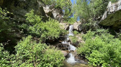 A serene waterfall cascading down rocky terrain, surrounded by lush green foliage and trees under a clear blue sky.
