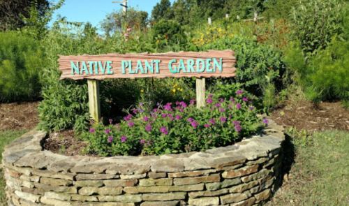 Sign for a Native Plant Garden surrounded by colorful flowers and greenery.