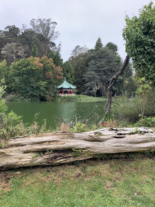 A serene lake scene with a gazebo surrounded by trees and a fallen log in the foreground.