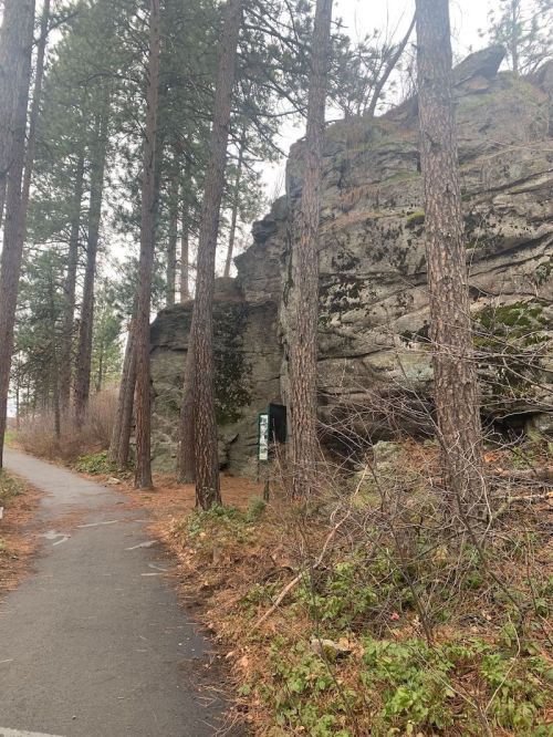 A rocky outcrop beside a paved path, surrounded by tall pine trees and sparse underbrush.