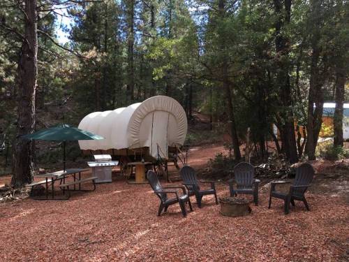A covered wagon in a wooded area, surrounded by chairs, a table, and a green umbrella on a gravel path.