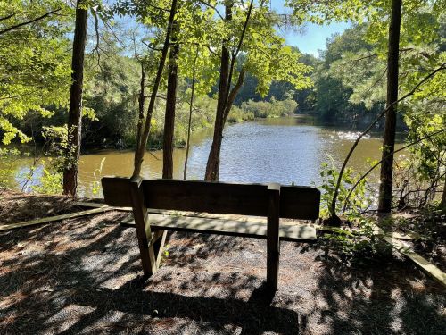 A wooden bench overlooks a serene pond surrounded by trees and greenery on a sunny day.