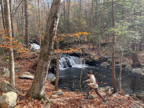 A person walks near a stream in a forest with autumn leaves and a small waterfall in the background.