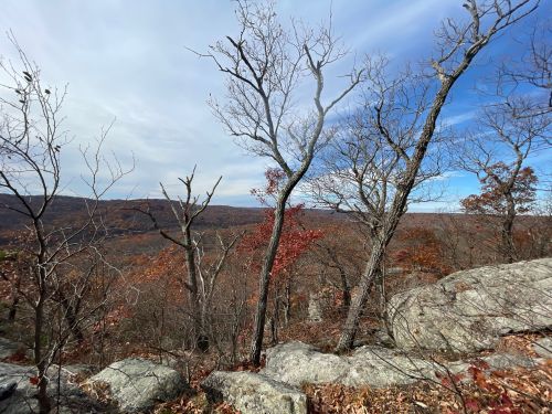 Barren trees and rocky outcrops overlook a colorful autumn landscape under a cloudy sky.