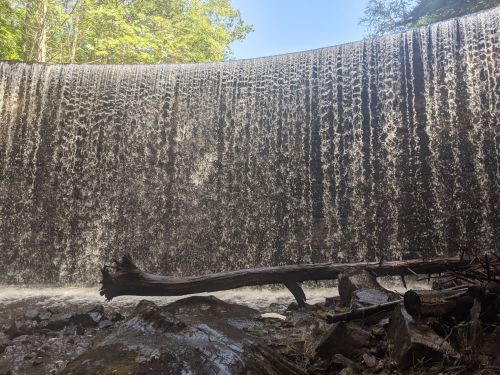 A waterfall cascading over a dam, surrounded by trees and rocky terrain, with a fallen log in the foreground.