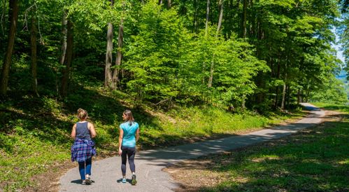 Two women walk along a winding path in a lush green forest on a sunny day.
