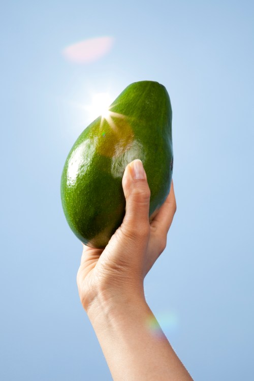A hand holds a shiny green avocado against a clear blue sky, with sunlight reflecting off its surface.