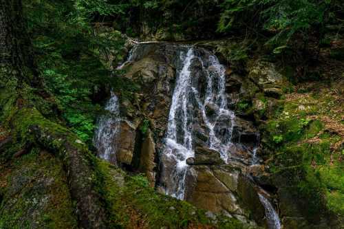 A serene waterfall cascading over rocky terrain, surrounded by lush green foliage and trees.