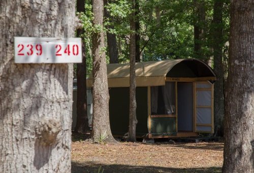 A green tent cabin nestled among trees, with a sign displaying the numbers 239 and 240 nearby.