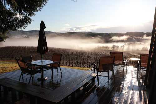 A misty vineyard at sunrise, with a wooden deck and chairs overlooking the rows of grapevines.