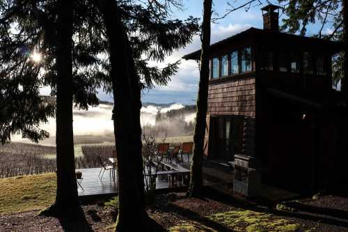 A cozy cabin surrounded by trees, overlooking misty vineyards and mountains under a bright sky.